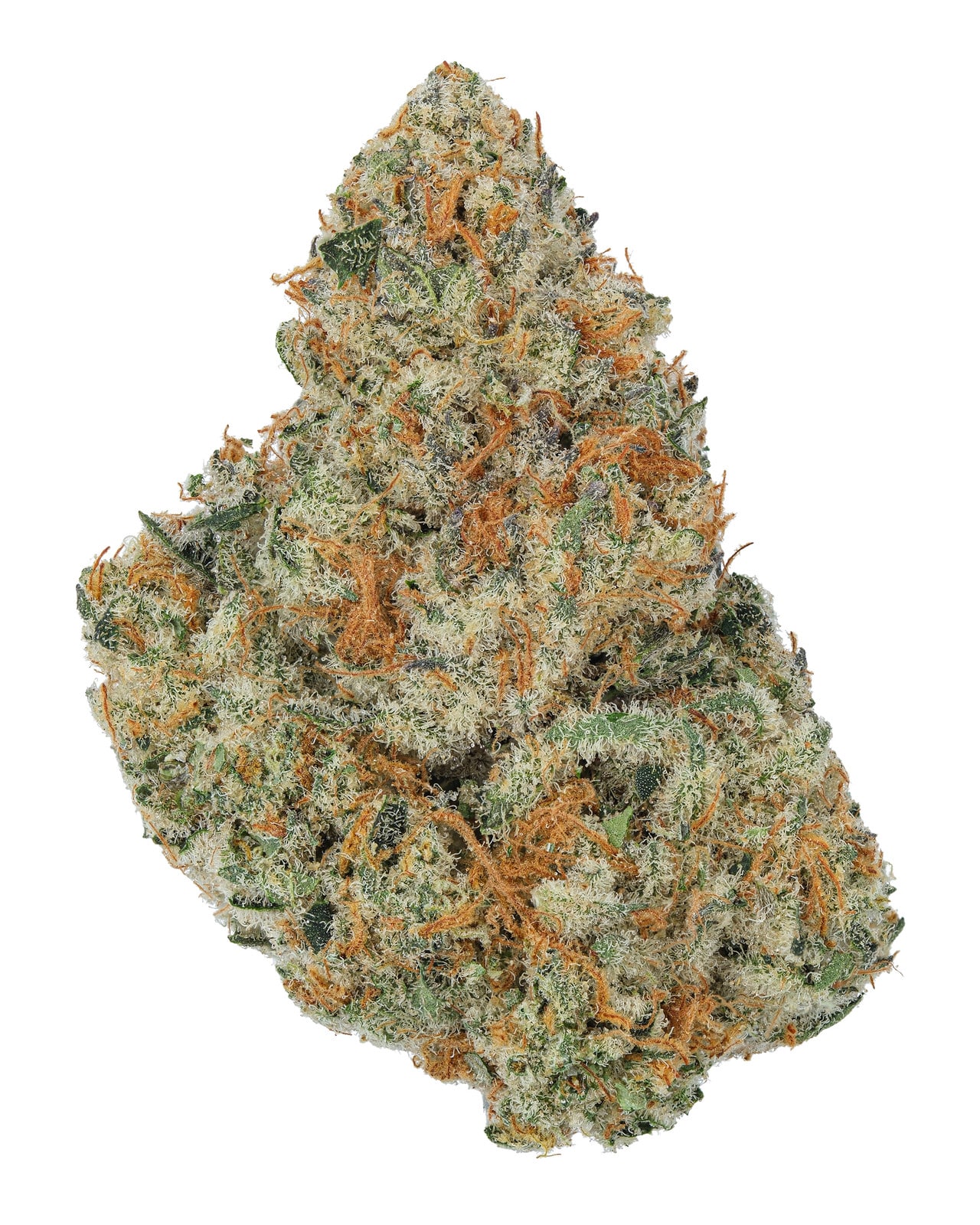 2565 source 1745520872