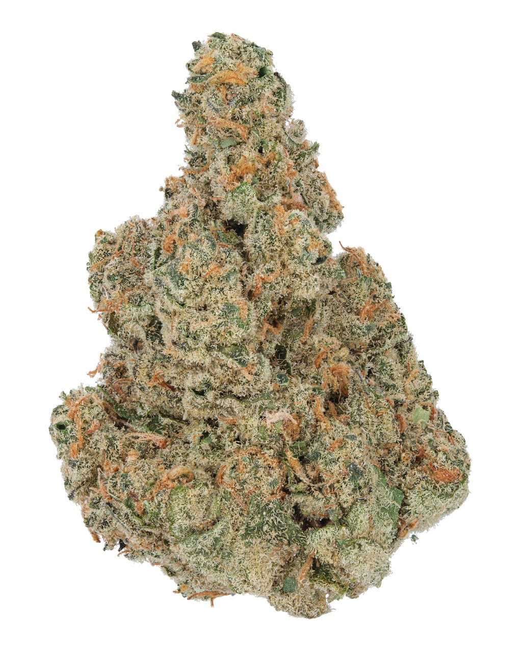 Blue Dream   1  27525