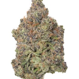 Chem De La Chem   1 1  11754