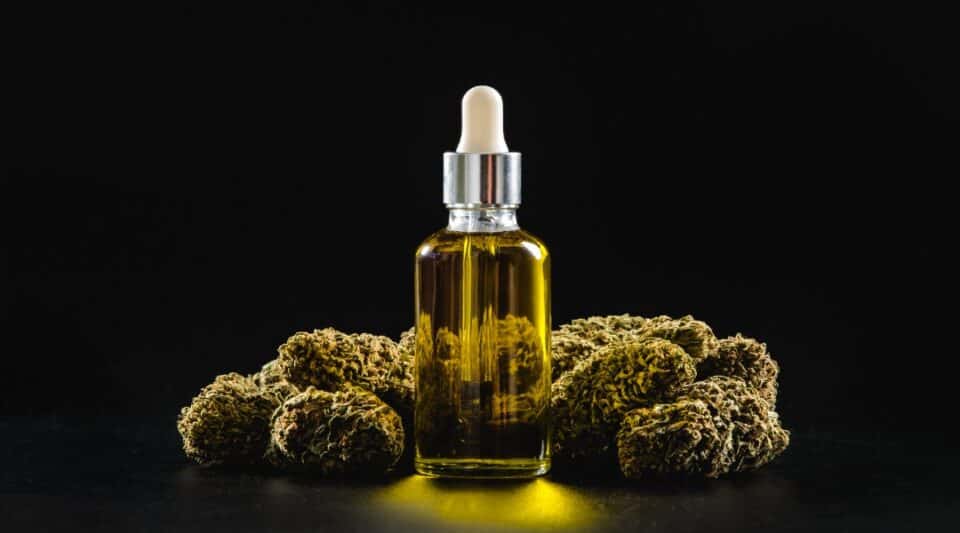 Discover Trusted CBD Oils Elevate Your Wellness Journey Today