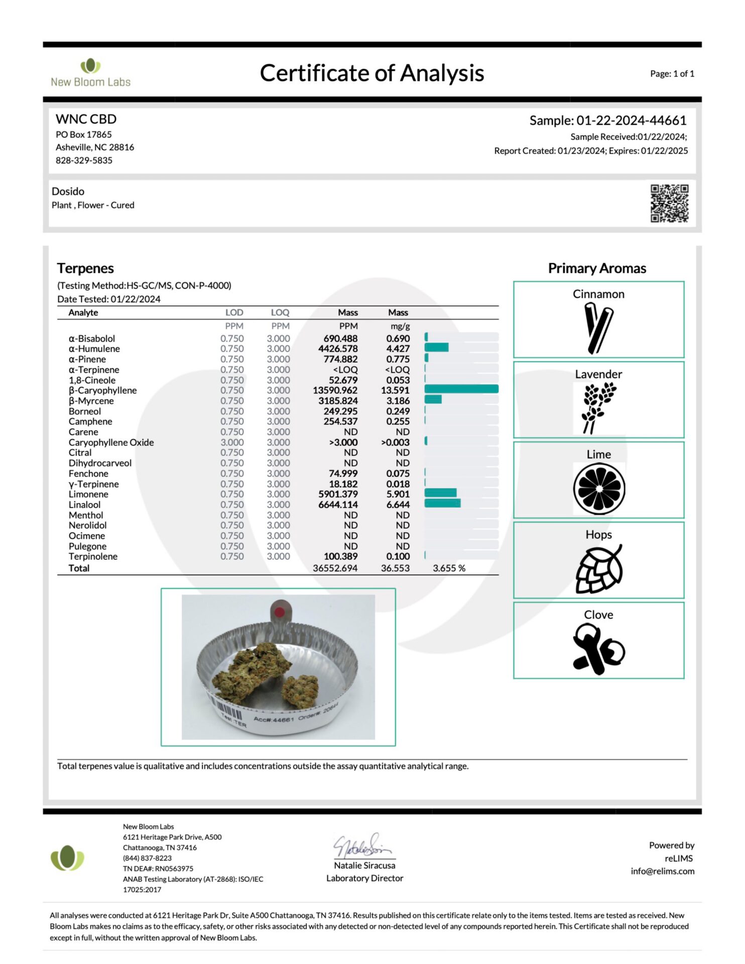 Dosido2025 page 0002 scaled