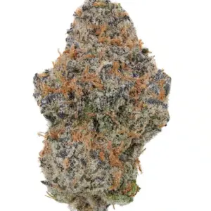 Featured Image Bruce Banner