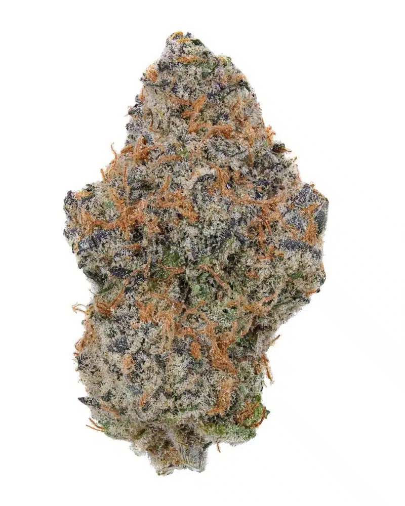 Featured Image Bruce Banner