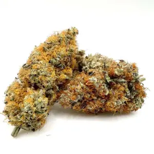 Featured Image White CBG