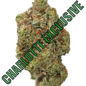 G41 High THCa Hemp Flower