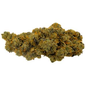 GMO High THCa Hemp Flower