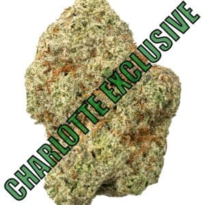 Greasy Runtz High THCa Hemp Flower