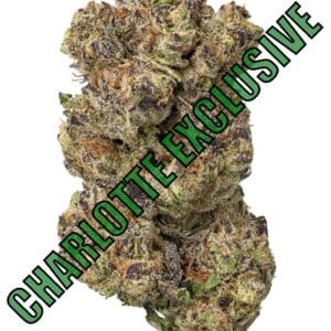 Gush Mints High THCa Hemp Flower