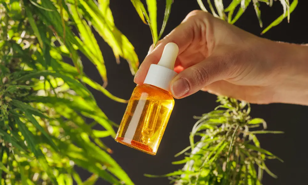 Hidden Dangers of Low Quality CBD Oils