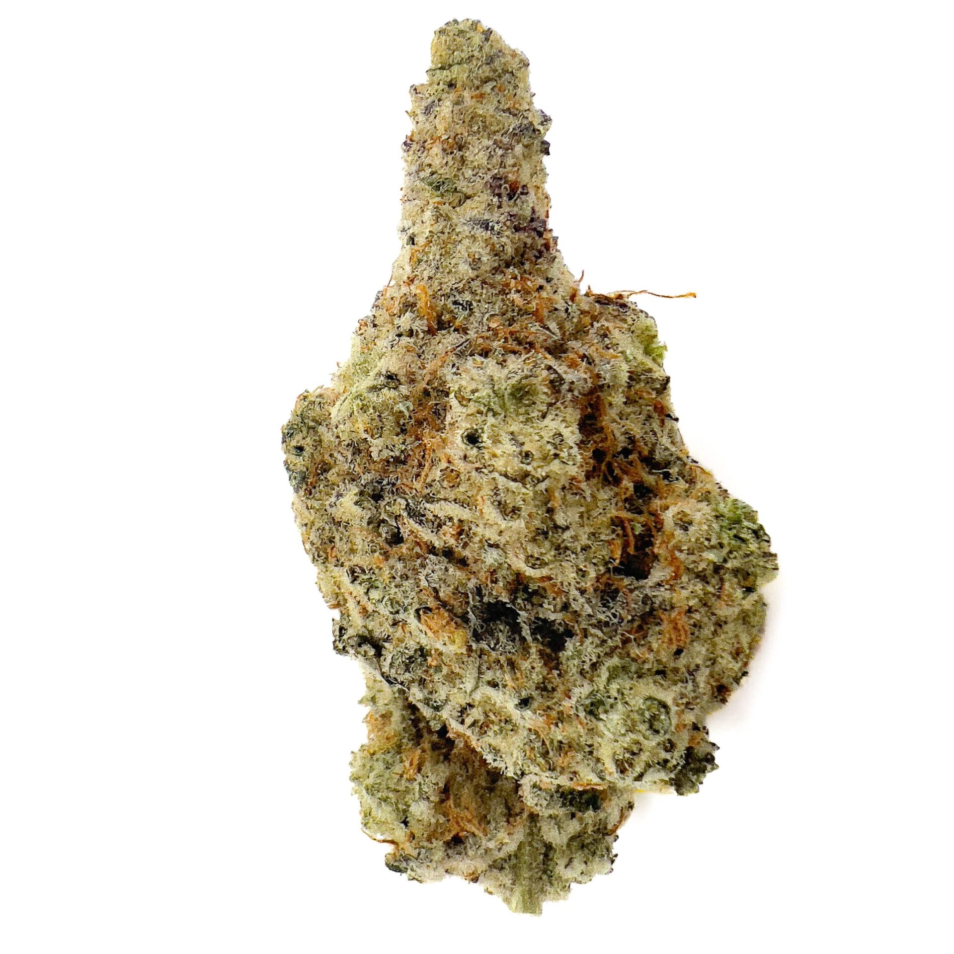 IMG 3865 scaled e1752591739439