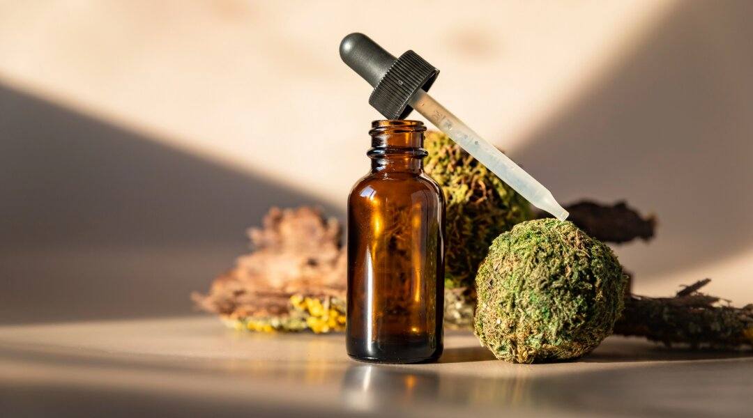 Key Factors When Choosing Quality CBD Oils for Wellness