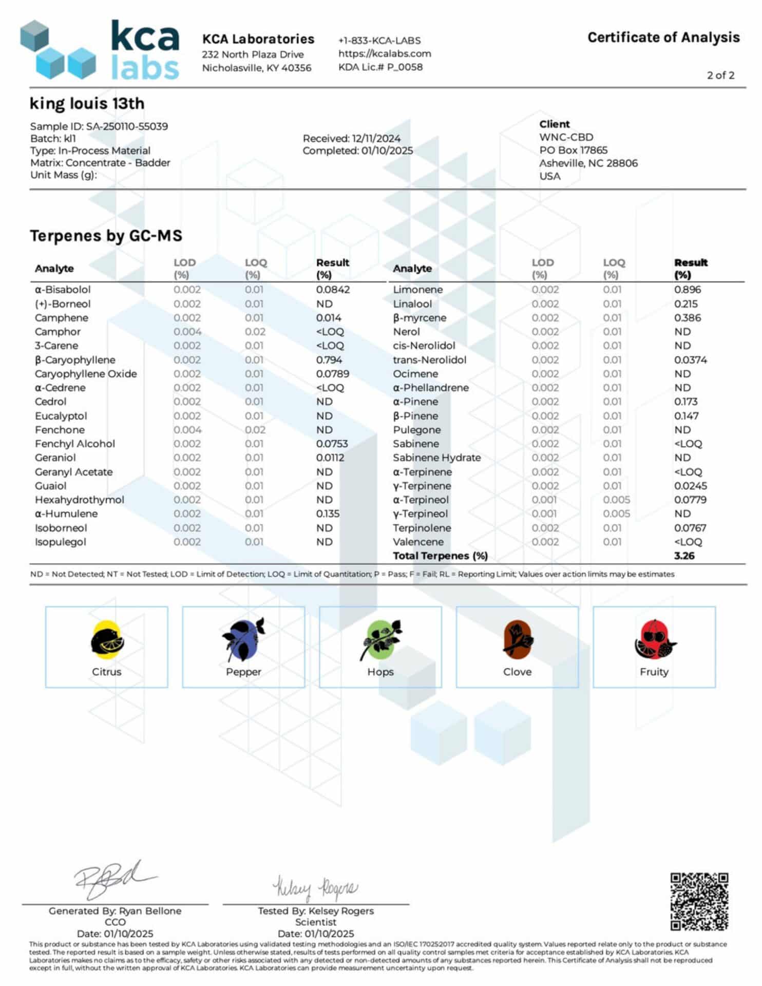 King Louis XIII page 0002 scaled