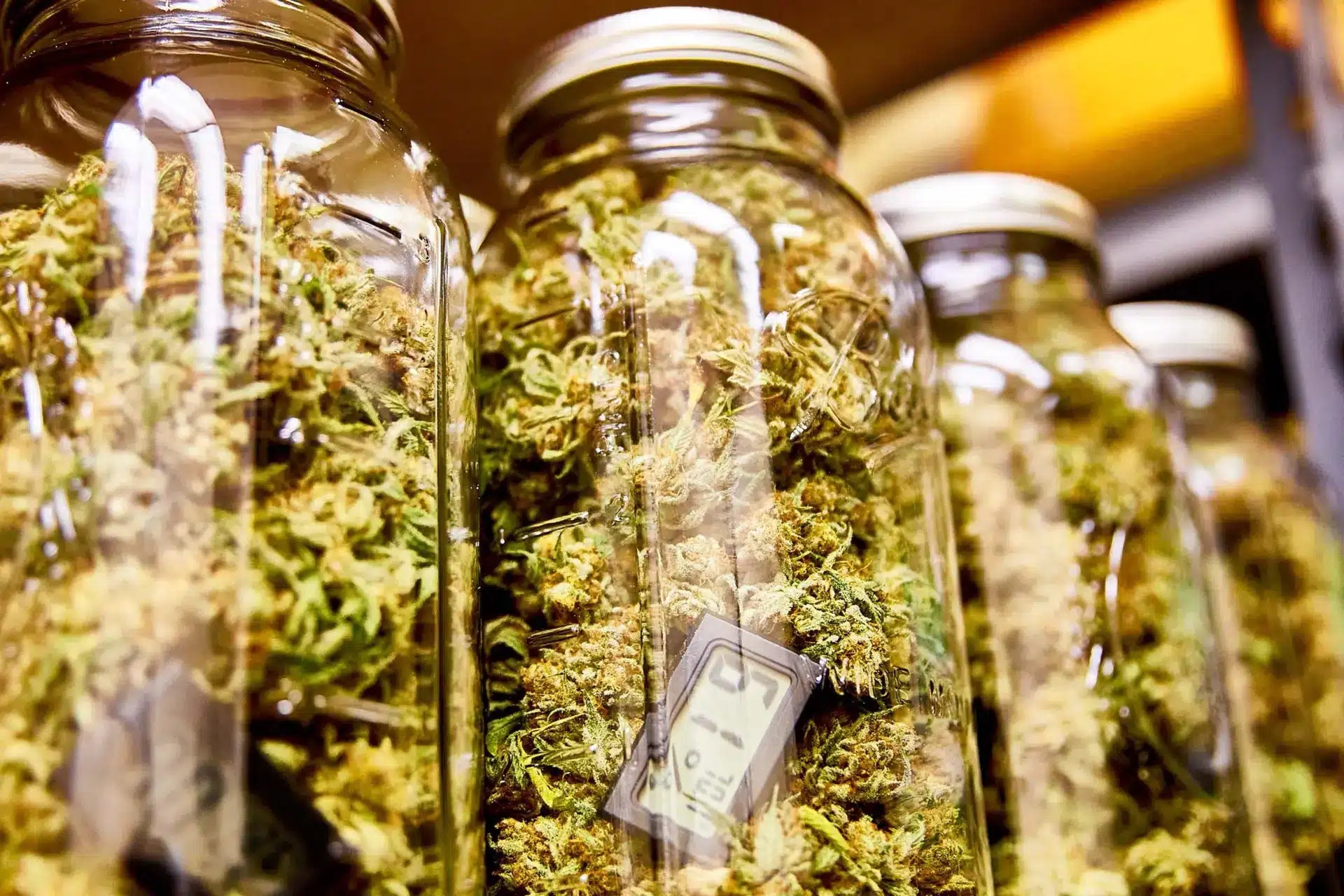 PG.CBD .01 3 Christian