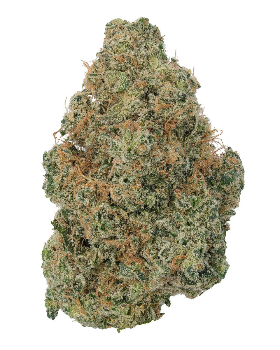 Panama Red   1  25515