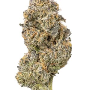 Sticky Purple High THCa Hemp Flower